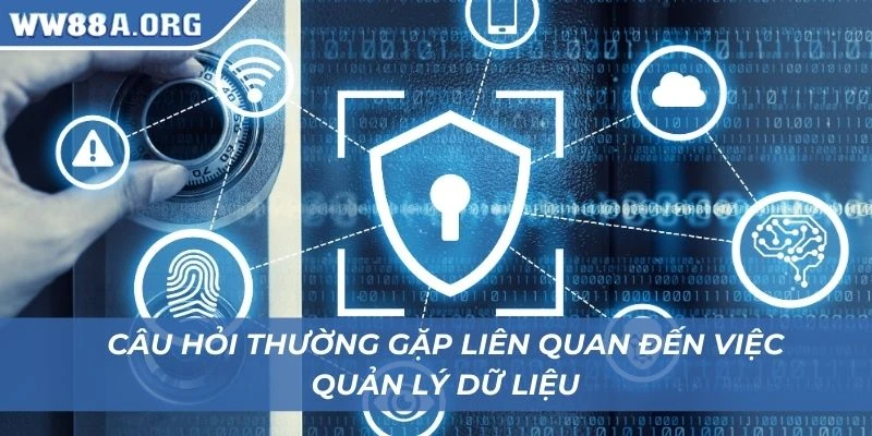 Câu hỏi thường gặp liên quan đến việc quản lý dữ liệu