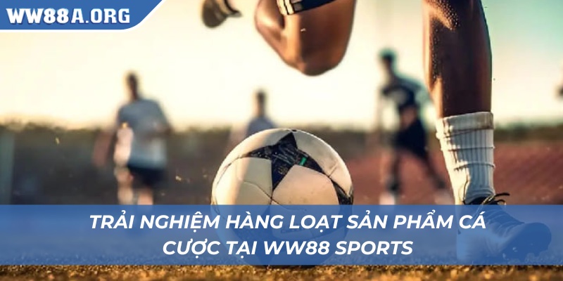 Trải nghiệm hàng loạt sản phẩm cá cược tại WW88 sports